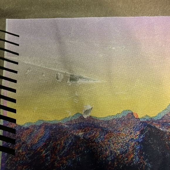 american eagle long sleeve shirt size L - Picture 4 of 5